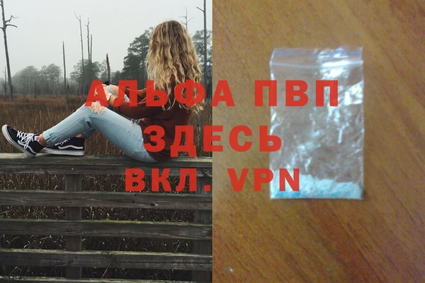 mdpv Волоколамск