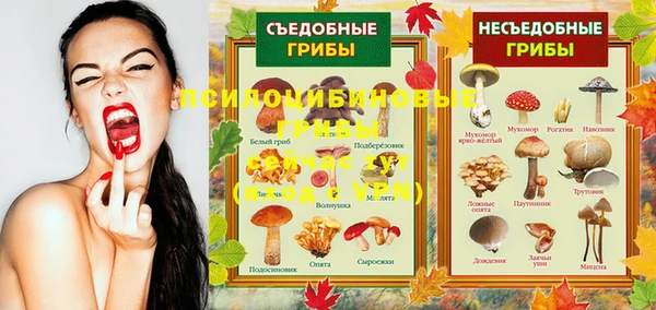 spice Володарск