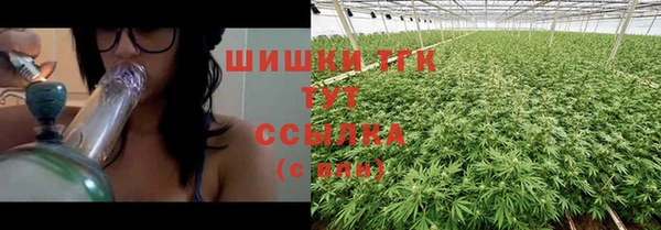 spice Володарск