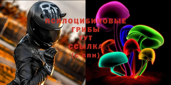 mdpv Волоколамск