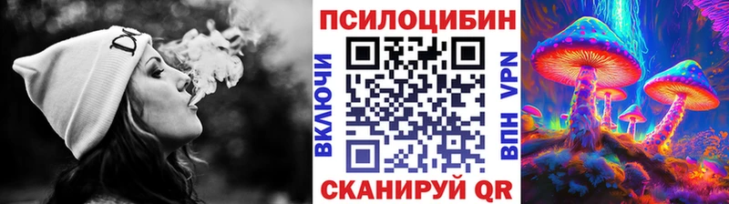 МЕГА ONION  Копейск  Псилоцибиновые грибы прущие грибы 
