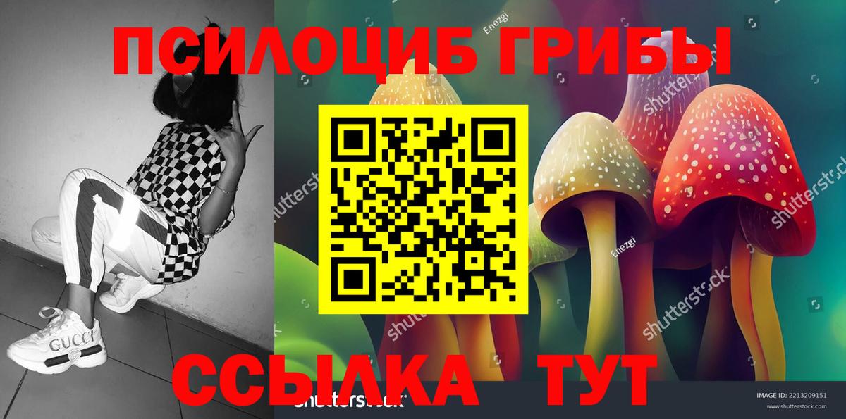 Галлюциногенные грибы мухоморы Копейск
